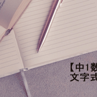 中1数学 項 係数 次数 すずき なぎさ Note