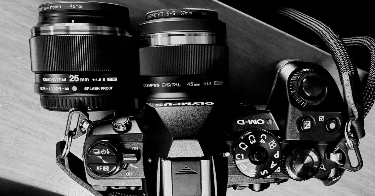 25mm 45mm OLYMPUS M.ZUIKO｜Swan High 1114