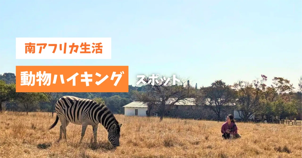 南アフリカ3都市の動物ハイキングスポット🦓｜Murakami Miku