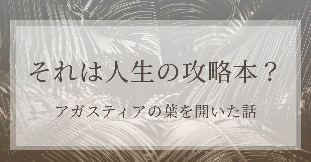 見出し画像