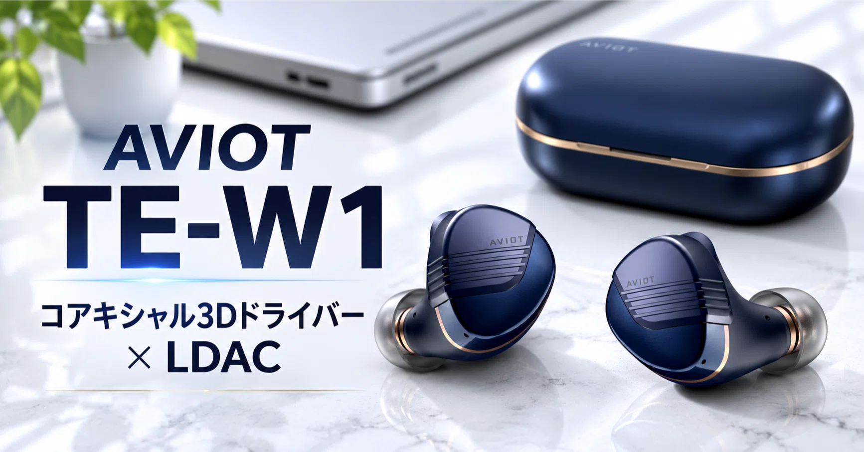 AVIOT TE-W1 のレビュー・口コミ評判と特徴 コアキシャル3Dドライバー