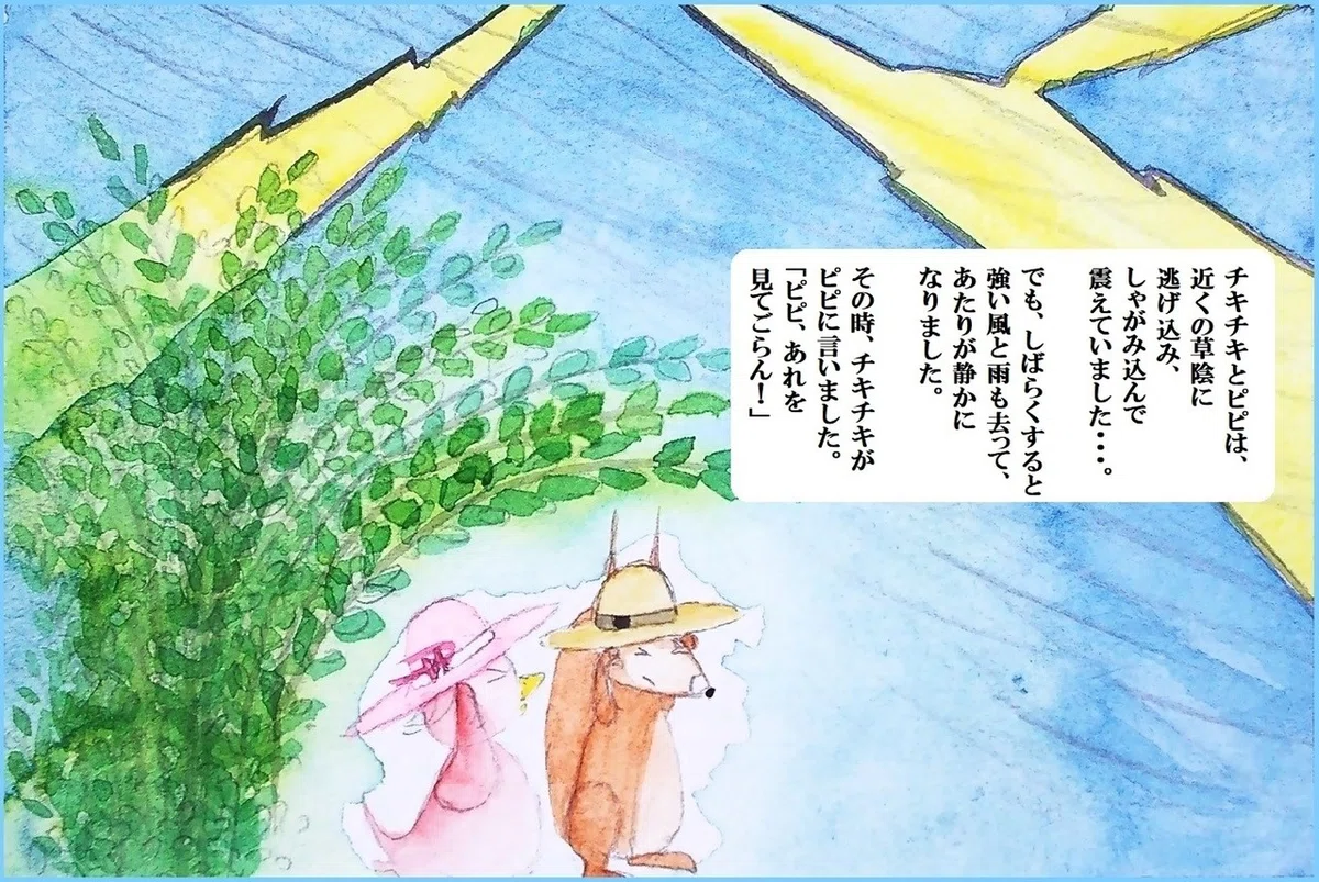 画像14