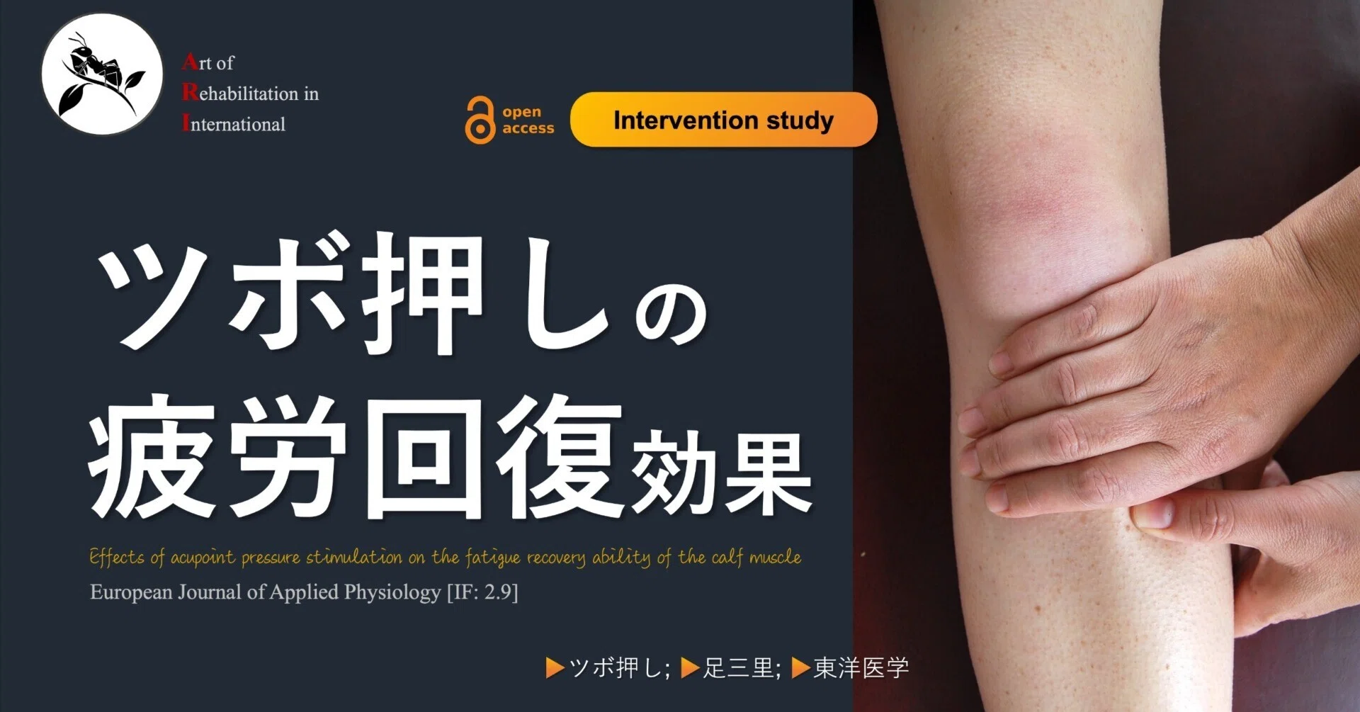 ツボ押しの疲労回復効果｜Super Human | 理学療法士／保健学博士 Ph.D.