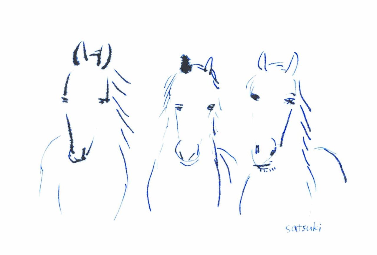 イラスト 馬たち Horses まるいみさき イラストレーター Note