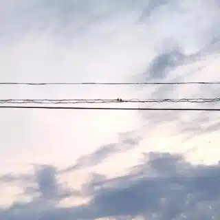 蒼穹