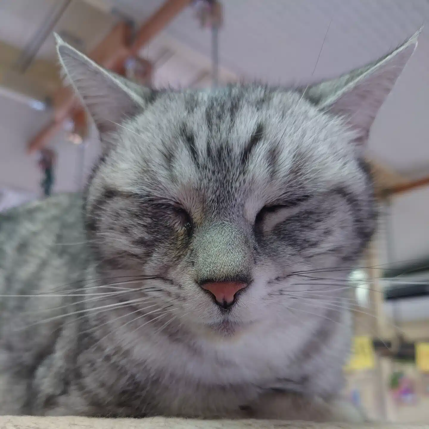 グッチ