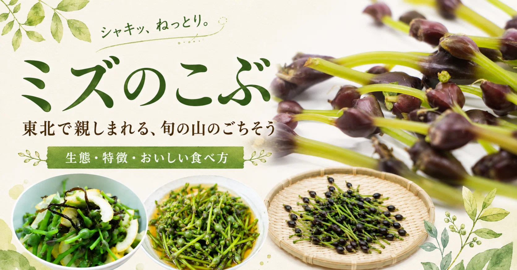 青森の山菜・ミズのこぶ】シャキシャキ、ねっとり。東北の山が育てた