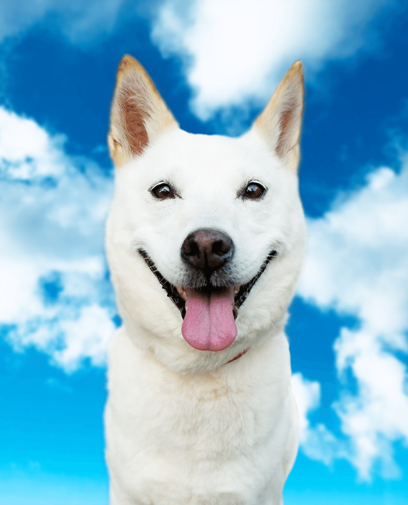 やっと かたる写真 完成しました Kataru Note