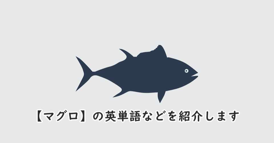 魚 マグロ の英単語 特徴などを紹介します きむっち Note
