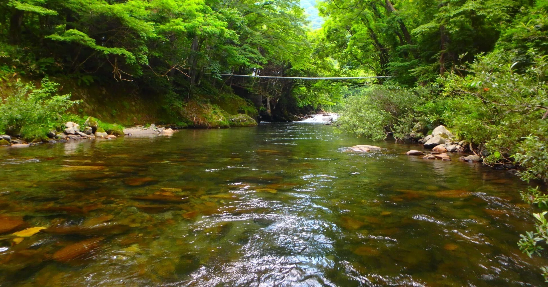 夏の安曇野・奥飛騨 渓流釣行～その1｜SW工房