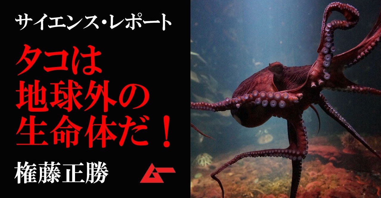 タコは地球外生命体だった ゲノム解析でわかった頭足類のルーツ 権藤正勝 ムーplus タコは地球外生命体だった ゲノム解析でわかった頭足類のルーツ 権藤正勝 ムーplus