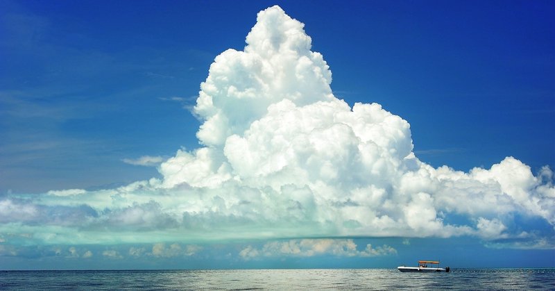 自信の生まれ方 坂本純子 Note