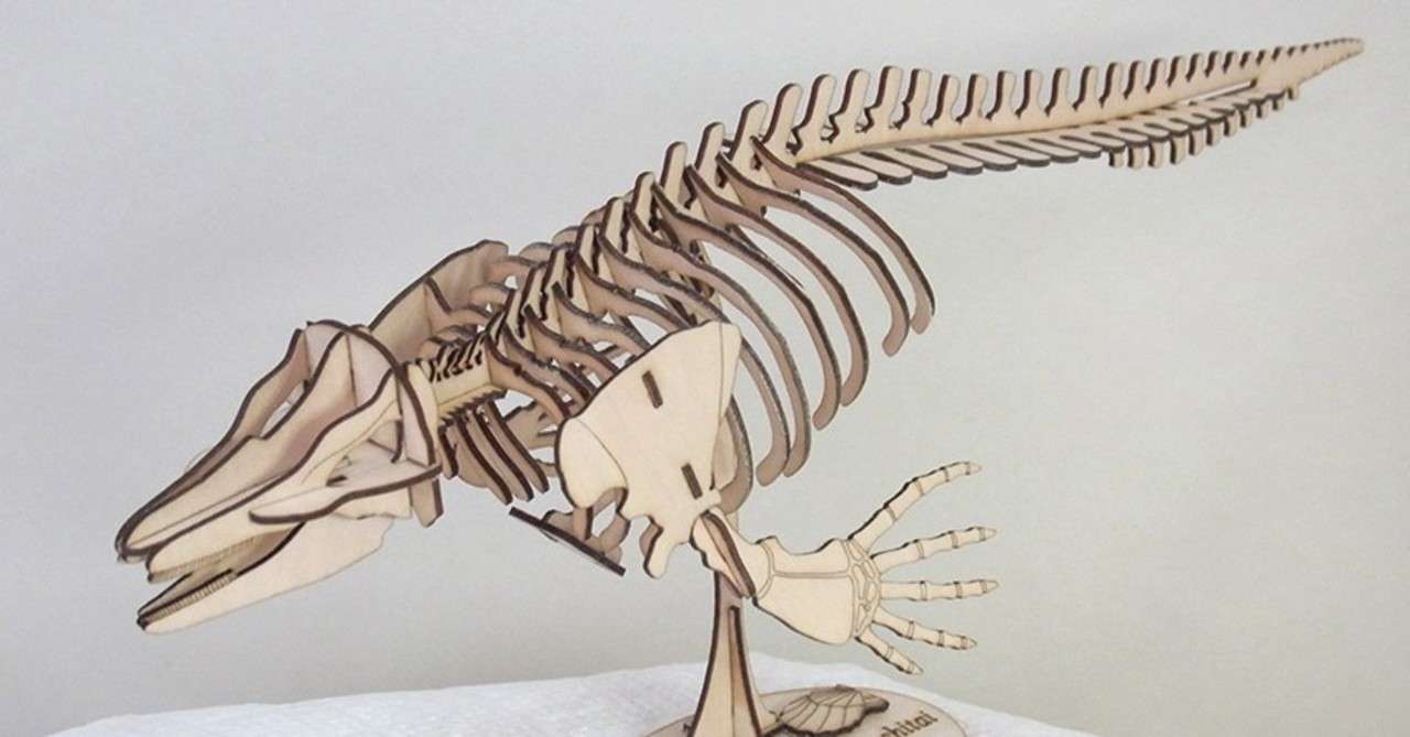 全身復元骨格模型を完全自作した話 塩谷 文庫歌 しおや ぶんがた Note