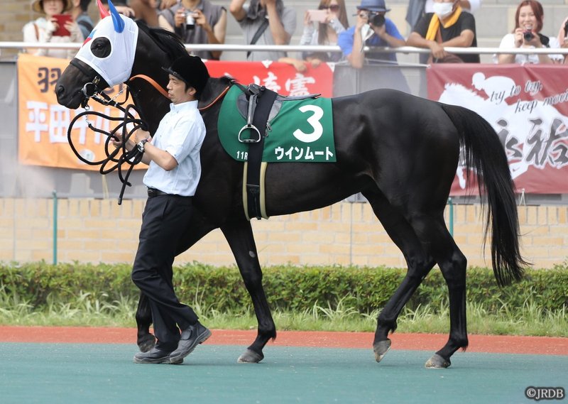 ウインムートプロキオン