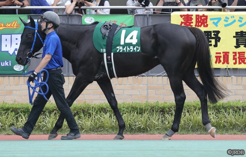 ブライトラインプロキオン