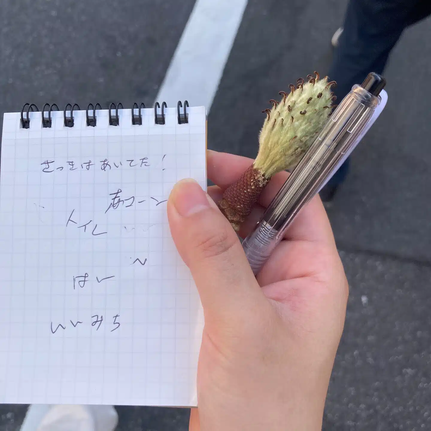 ゆれる木（松橋萌）