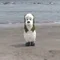 いおれむ