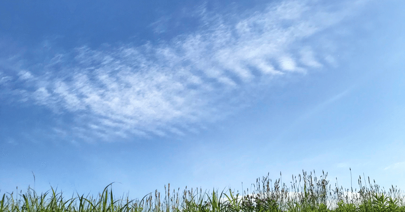 １３年前の育児日記⑦　１３年前の夏休みに思ったこと