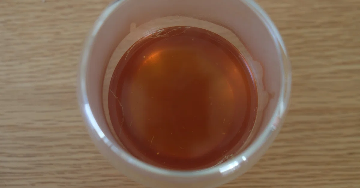 Corn Consommé｜樋口直哉(TravelingFoodLab.)
