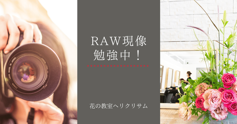 RAW現像を知ったらキレイな写真が作れるようになった！ その1