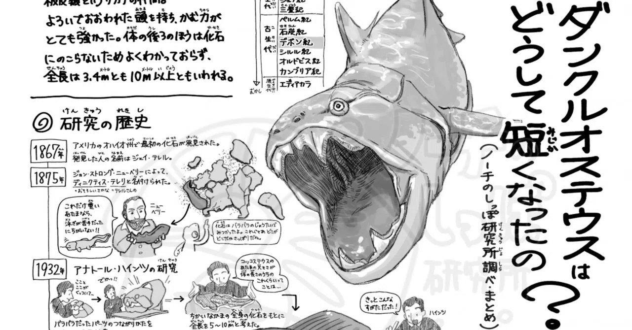 ダンクル オステ ウス
