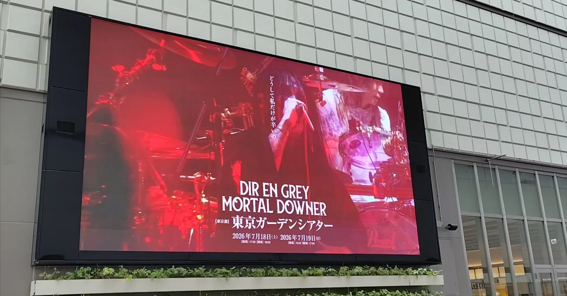 MOTAL DOWNER 東京ガーデンシアター｜K(Kei)