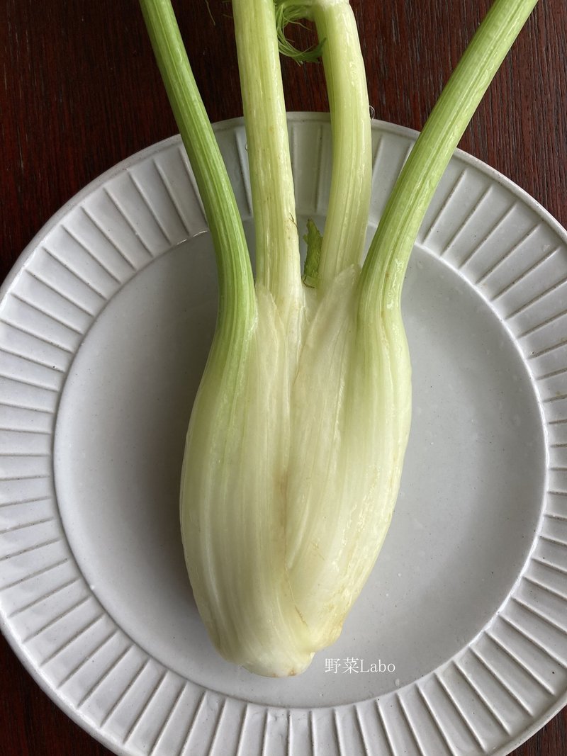 Study52 フェンネルの部位ごとの味比較 野菜labo 田野実 温代 Note