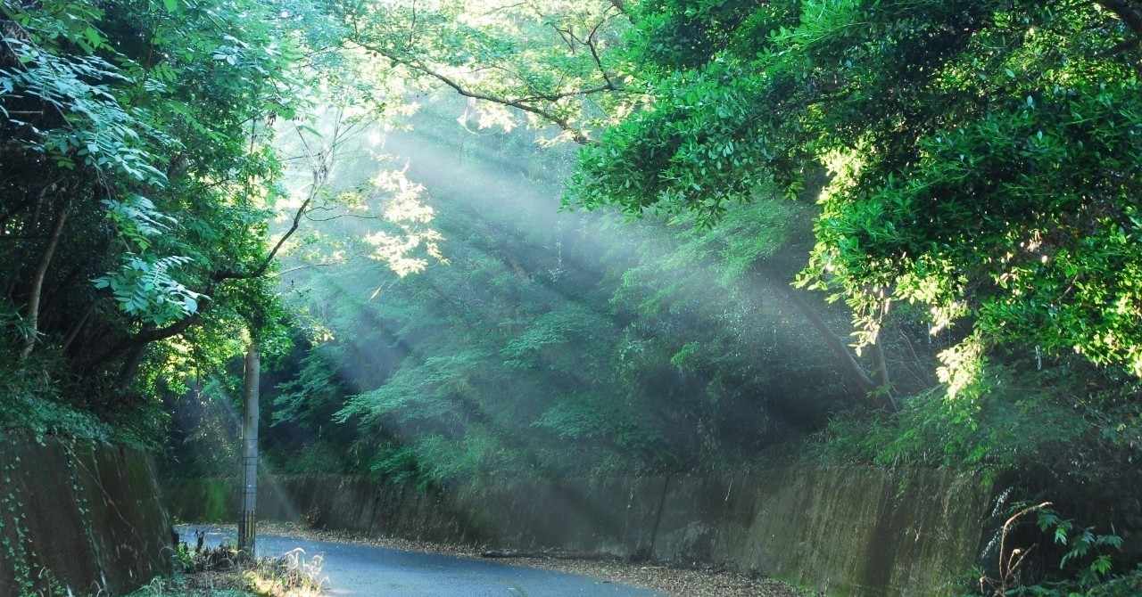 醜態 の新着タグ記事一覧 Note つくる つながる とどける