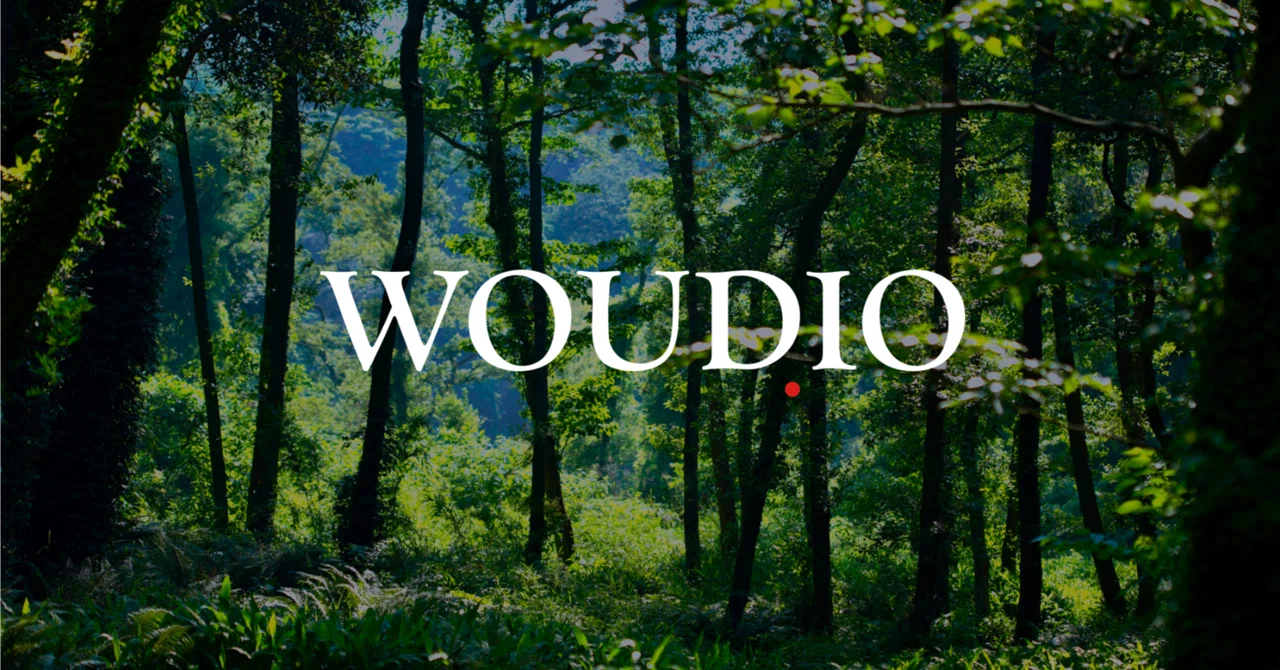 WOUDiO ── ウーディオ自然と文化が、あなたの言葉で語りかける。