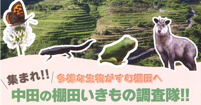 【棚田の豊かな自然を調査！「中田の棚田いきもの調査隊」に参加しました】海南高校海南校舎
