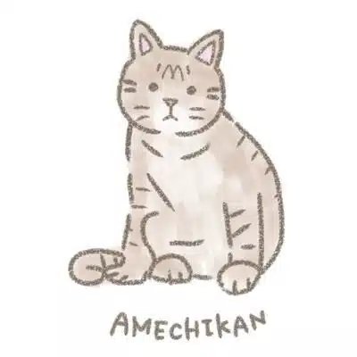 アメチカンのもな@YouTube