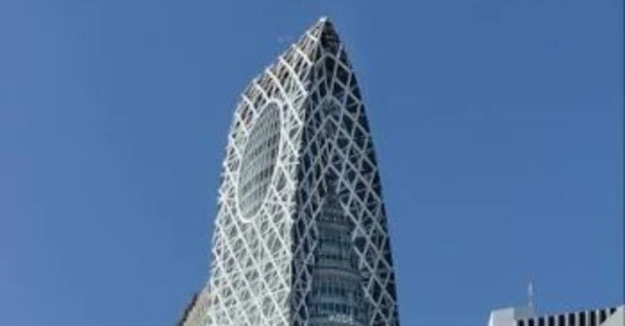 ハル 専門 学校