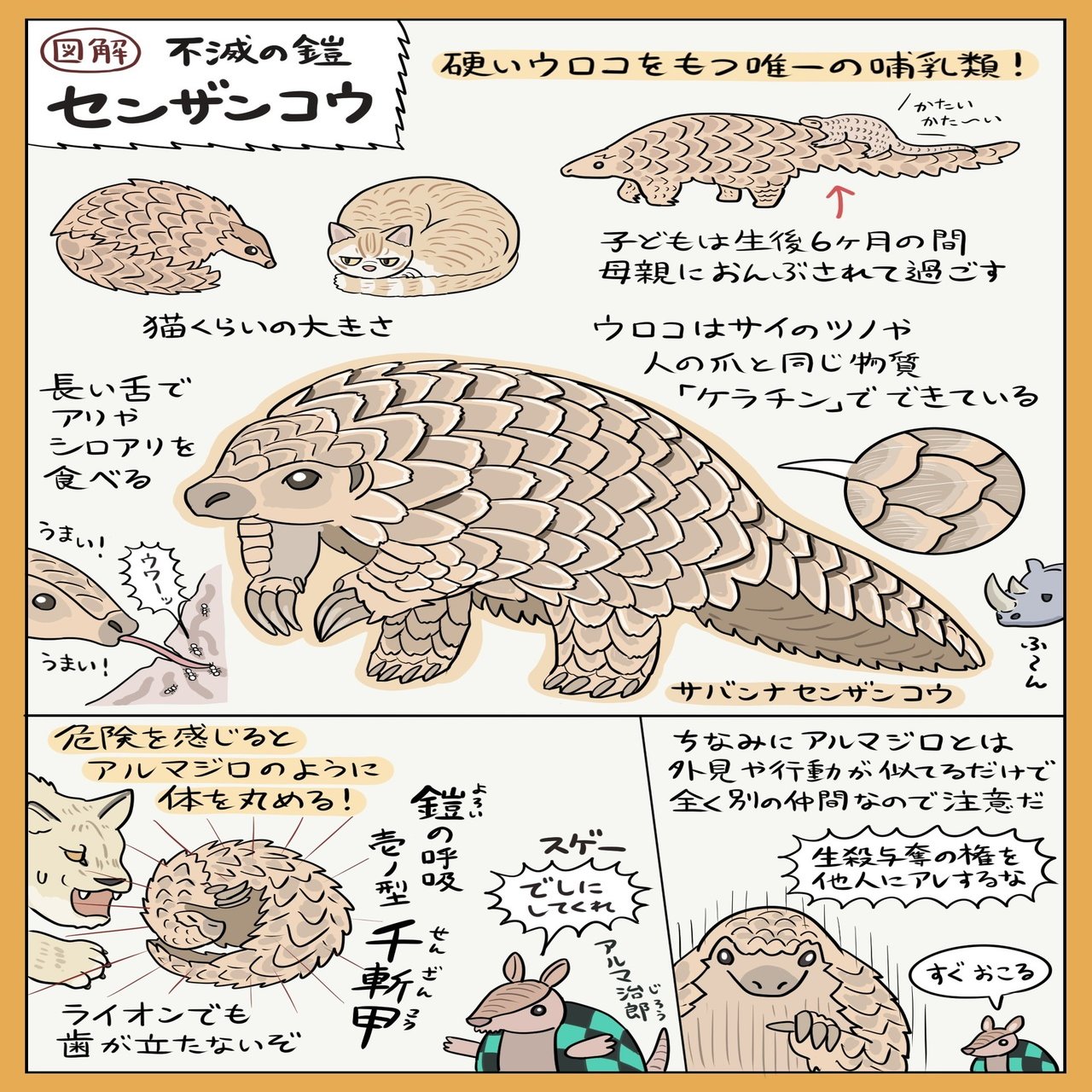 ウロコの鎧 センザンコウ 図解 ぬまがさワタリ Note