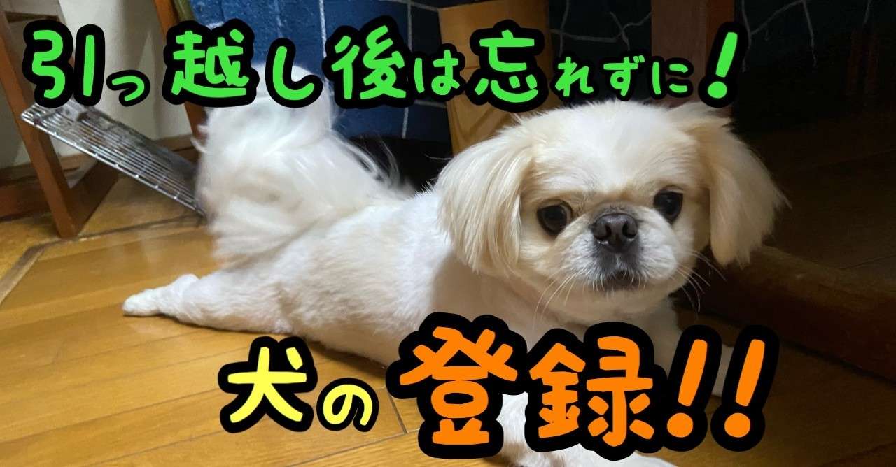 お引越し後に忘れずに 犬の登録 ドッグライフサポーター 獅子パパ Note
