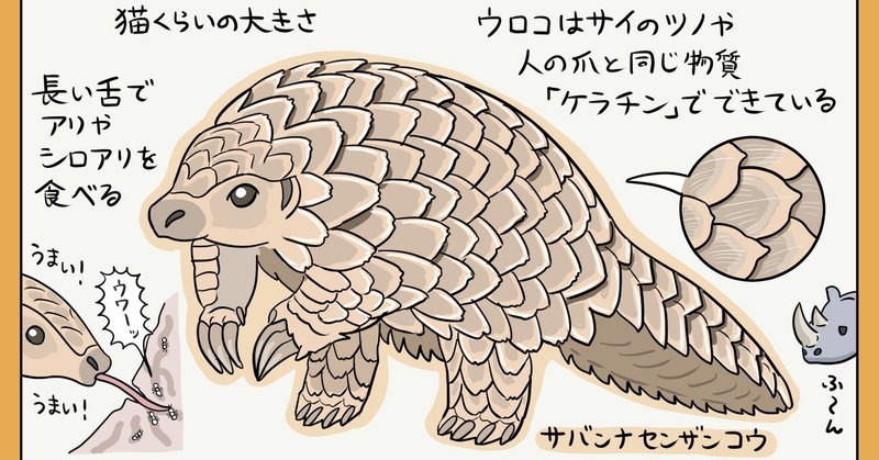 ウロコの鎧！「センザンコウ」図解