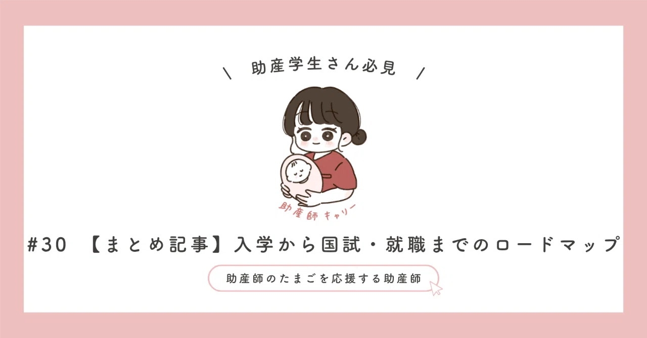 助産師 助産学生 実習乗り切りセット ポケットノート 2点セット 就職