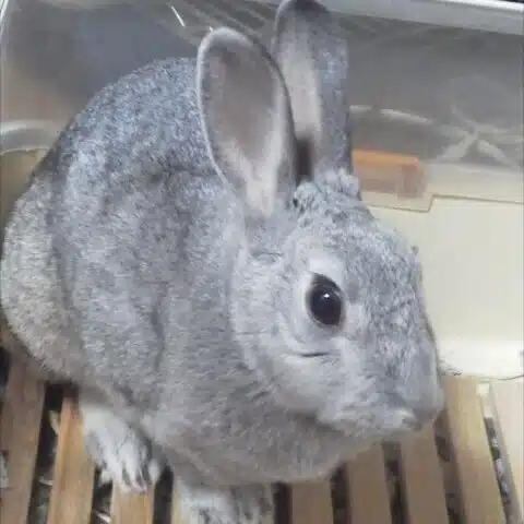色葉二歩(いろはにほ)