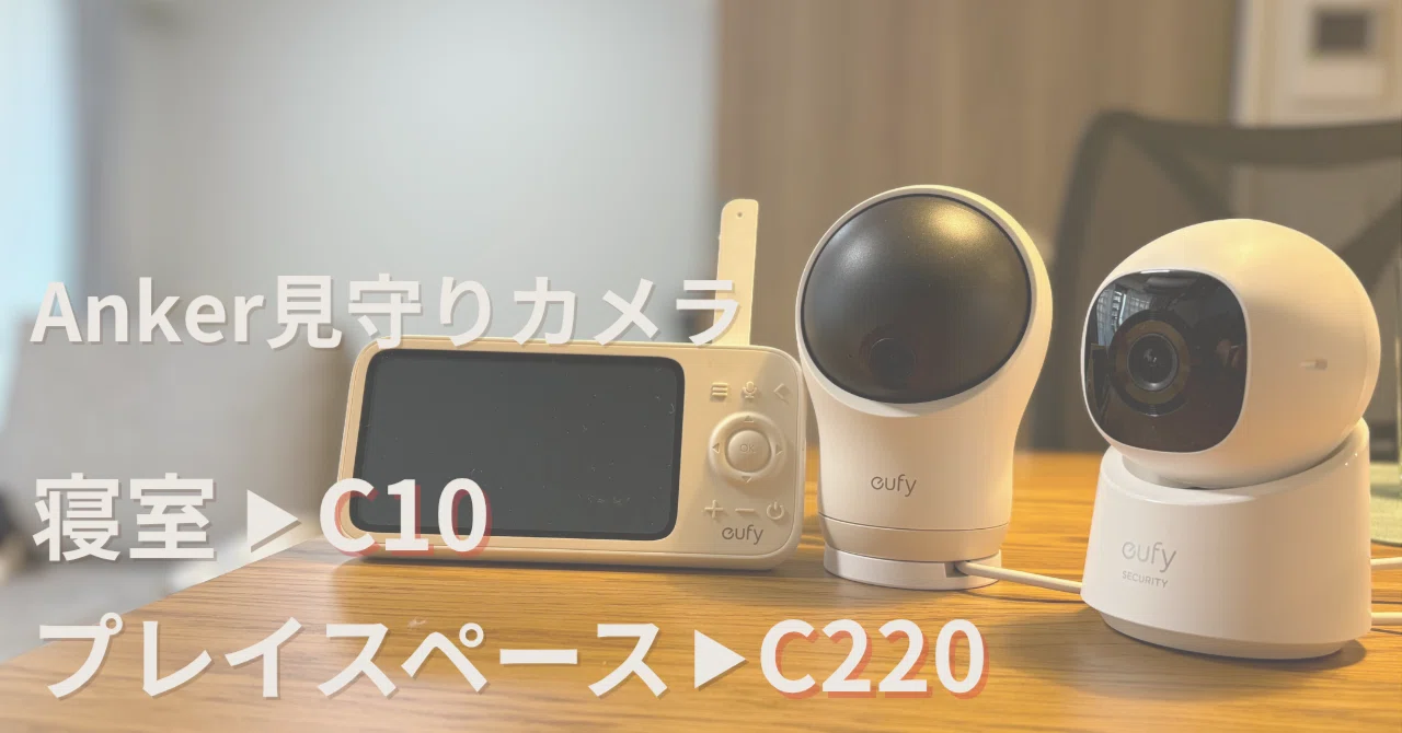 2か月使用レビュー】見守りカメラならAnkerがおすすめ！寝室はC10