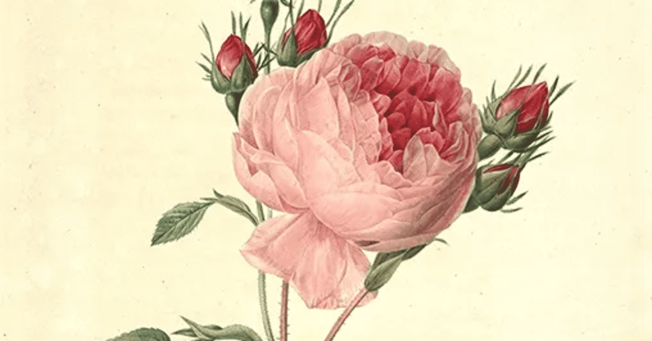 ルドゥーテ の新着タグ記事一覧 Note つくる つながる とどける