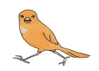 ジャンボセキセイインコ の新着タグ記事一覧 Note つくる つながる とどける