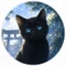 野良の旅猫｜相互フォロー希望｜Since2026.07.22