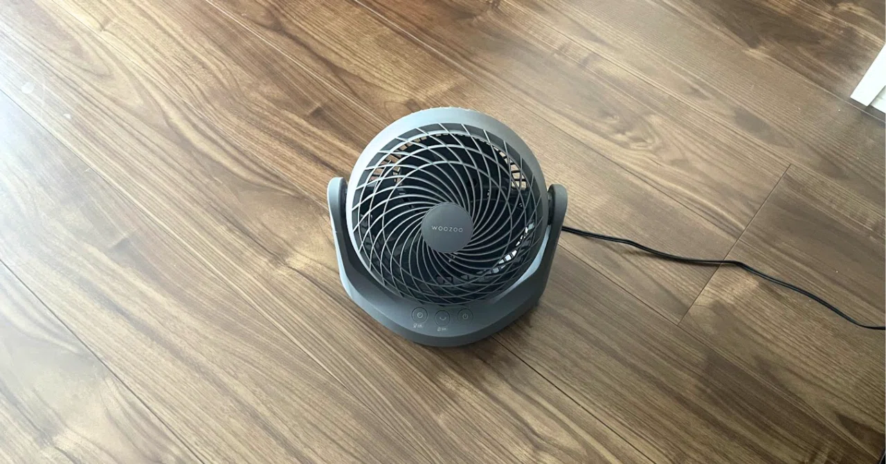Iris Ohyama Circulator Review [Did the room without air
