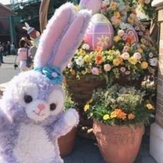 私的夏ディズニーの持ち物リスト Runa Note