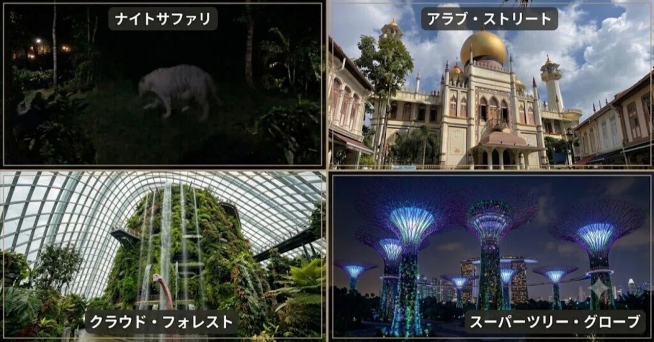2026年7月シンガポール一人旅｜sagara