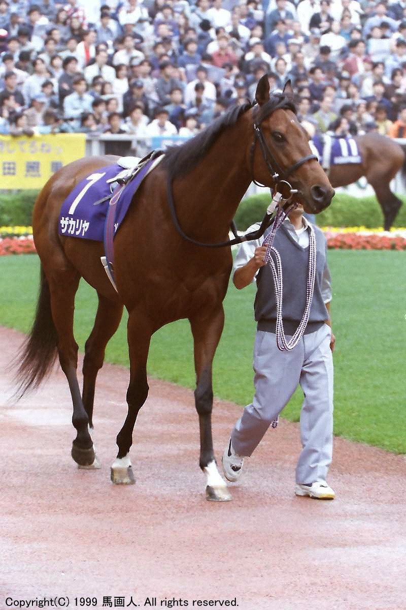 第4回NHKマイルカップ：蔵出し写真 1999年 ⑤シンボリインディ｜馬画人