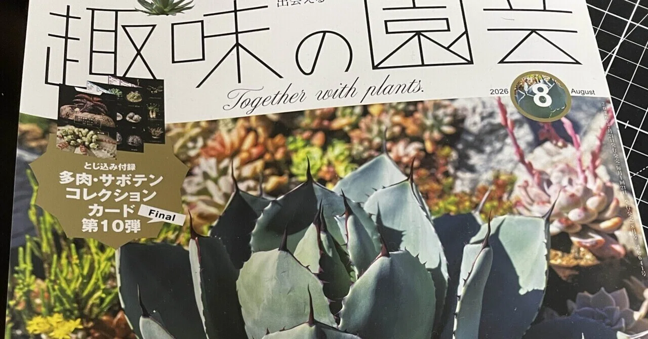 クレー「植物ー分析的なもの」、希少画集より、状態良好、新品高級額装付 趣味の園芸が仕事につながった話｜ミウラタカオ｜線画と植物
