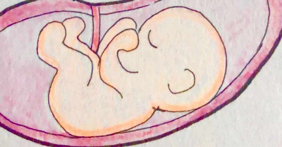 おっぱい セン シラノ Note