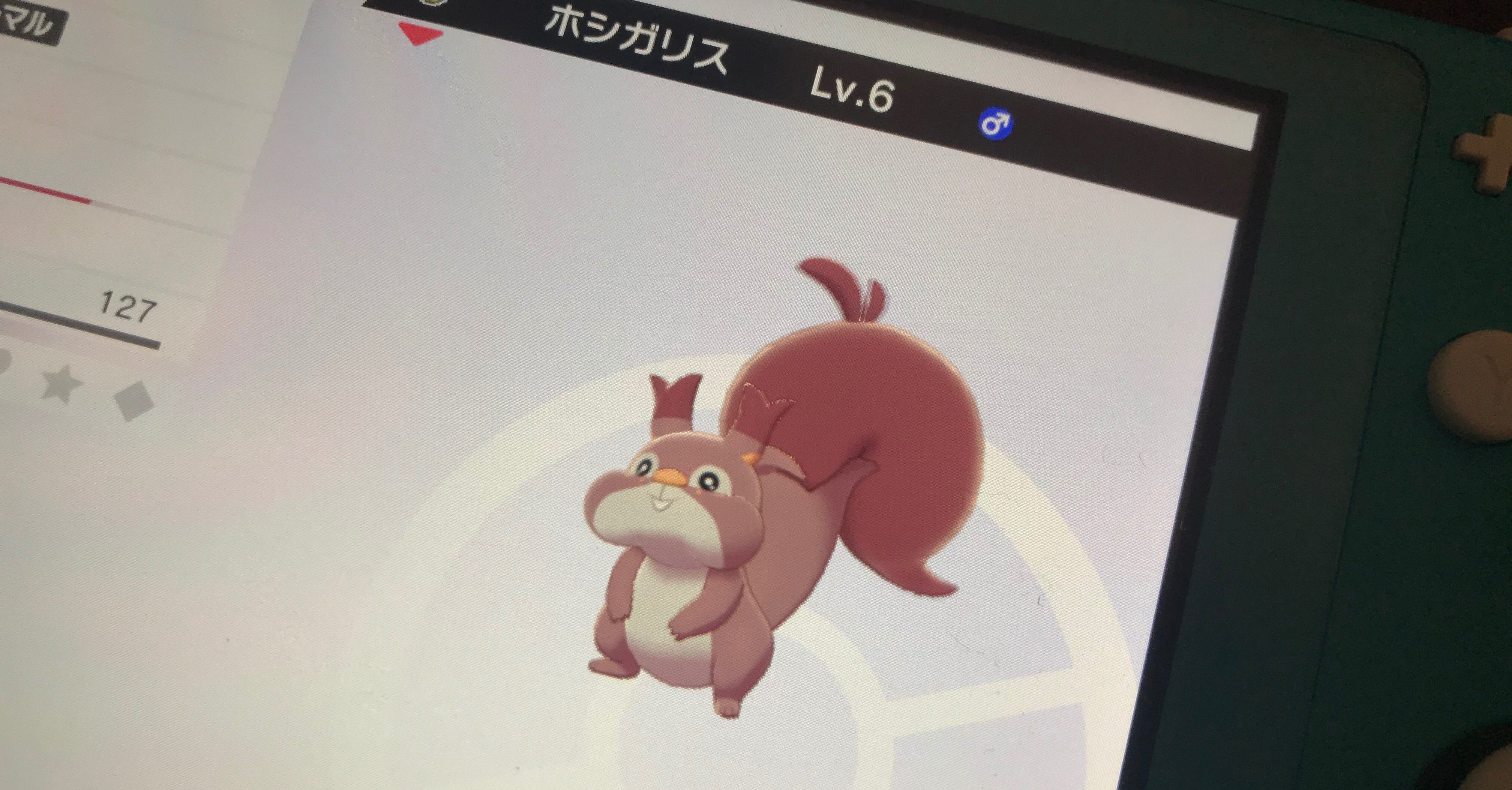 色違いホシガリス Manamaru Note 色違いホシガリス Manamaru Note