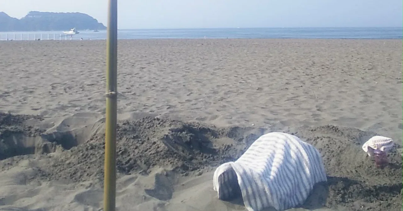 砂 浴 関東