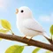 ことり🌱50代主婦の副業 挑戦日記